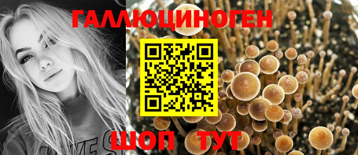 Галлюциногенные грибы мицелий  Вход с VPN  Ливны  Псилоцибиновые грибы MAGIC MUSHROOMS 